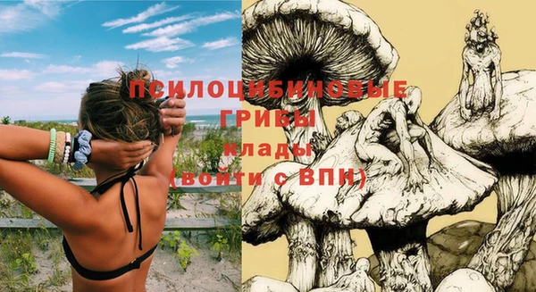 индика Абдулино